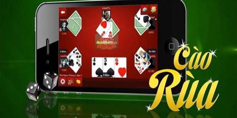 FAQ liên quan đến cào rùa